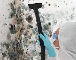 Best Biohazard Mold Removal  in Jasper, GA